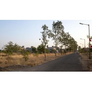Way to Campus