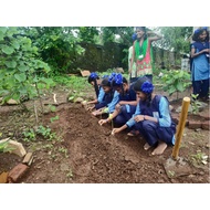 Green initiative in Ashram School