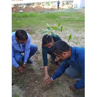 Sapling plantation at campus on World Environment Day