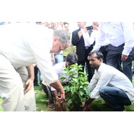 Planting Trees