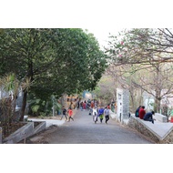 TISS Campus