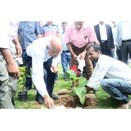 Tree Plantation during Guwahati campus inauguration ceremony