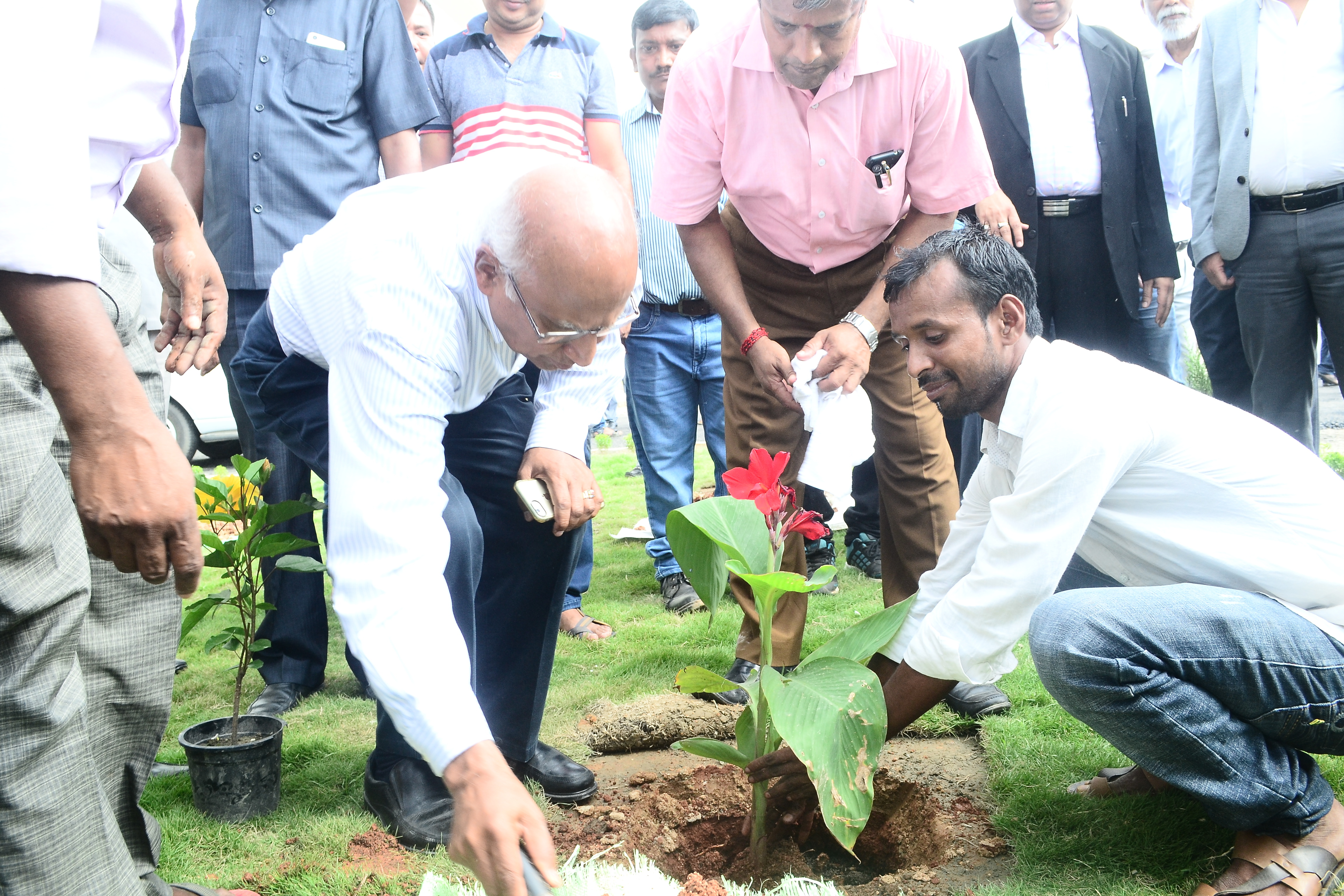 Tree Plantation during Guwahati campus inauguration ceremony