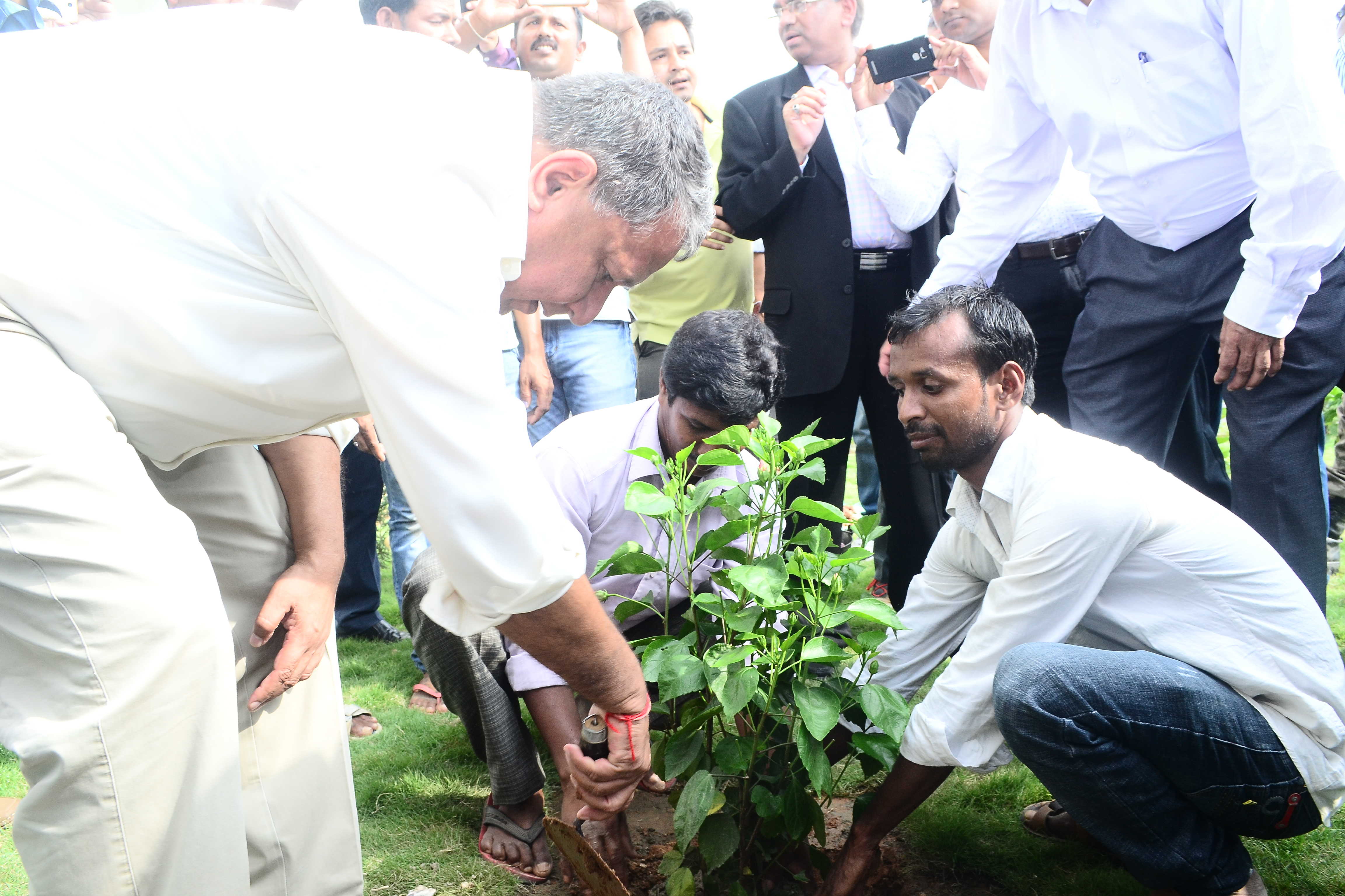 Planting Trees
