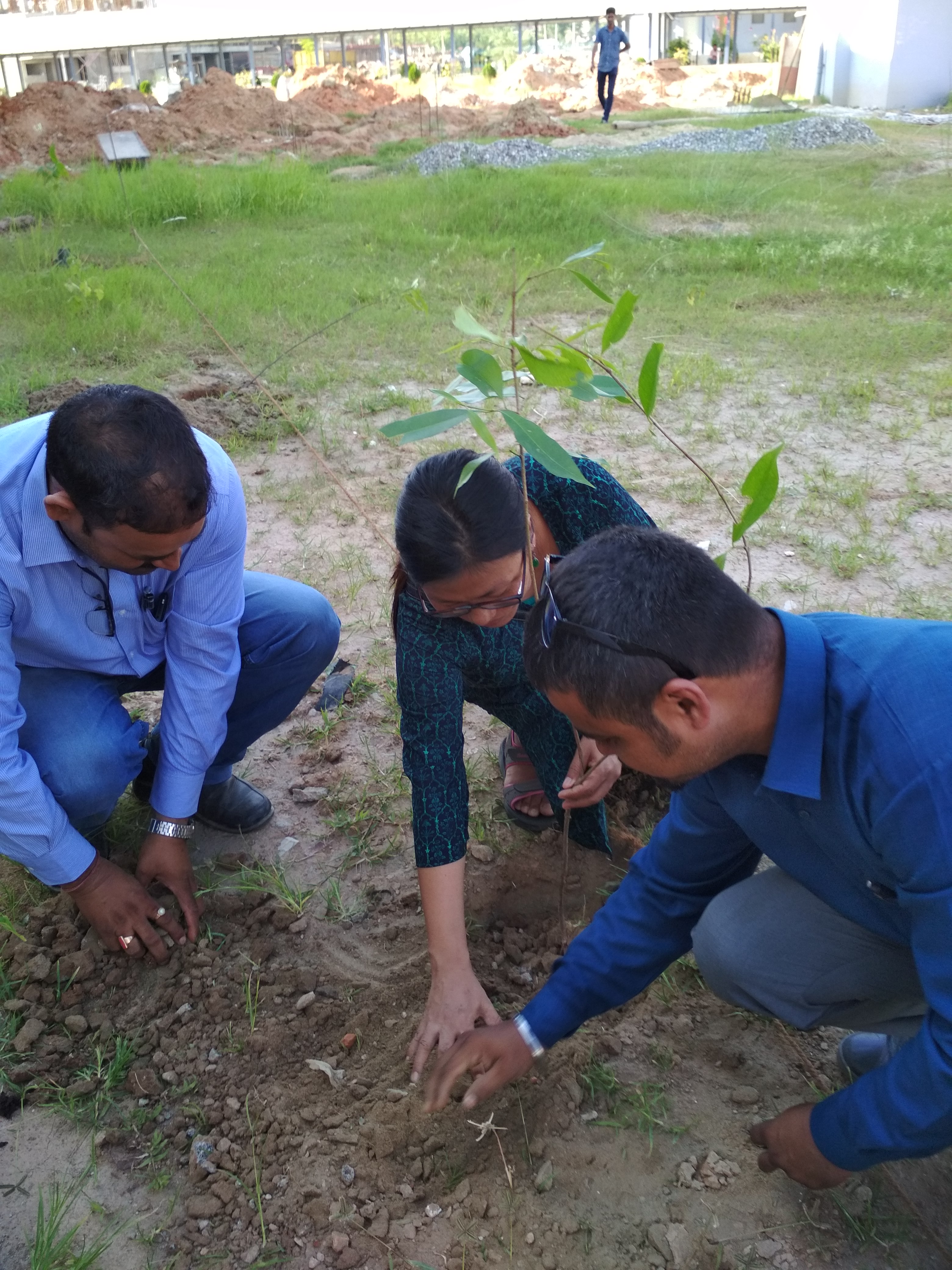Sapling plantation at campus on World Environment Day