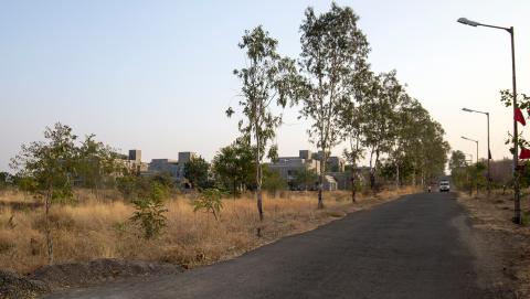 Way to Campus