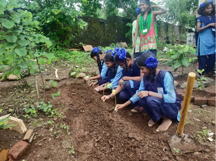 Green initiative in Ashram School